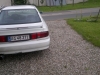 Telefon billeder 019